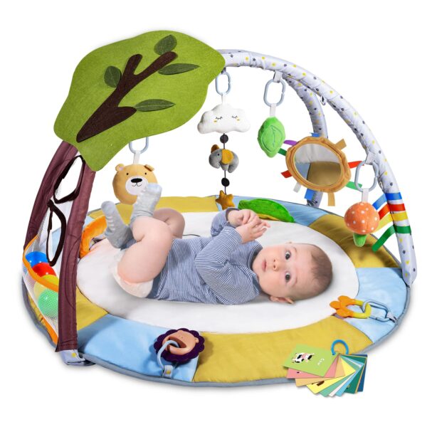 Baby Play Gym